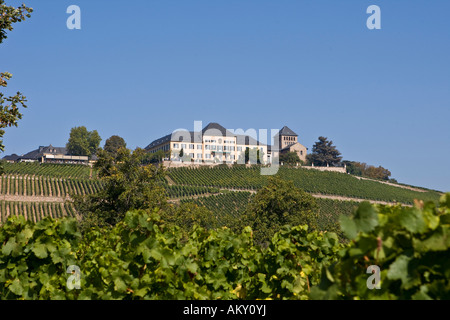 Johannisberg Castle, winery, Rheingau (Rhine District), Hesse, Germany Stock Photo