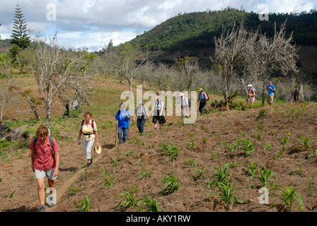 Group of hikers in the Usambara Mountains Tanzania Stock Photo