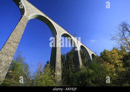 Train viaduct near Luetisburg in autumn colors, St. Gall, Switzerland Stock Photo