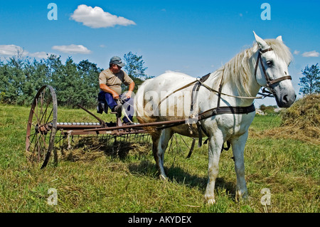 Lithuania Farm Farmer Baltic Horse Cart harvest Stock Photo: 5162984 ...