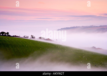 Hod Hill, near Shaftesbury, Dorset, UK Stock Photo