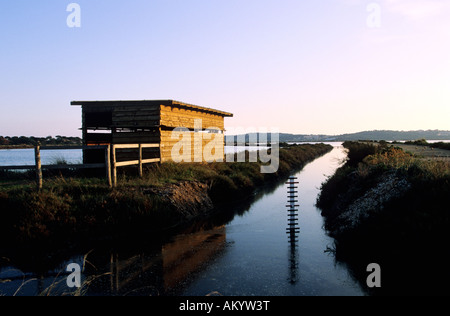 France, Var, Presqu' île de Giens, Salins de Pesquier Stock Photo