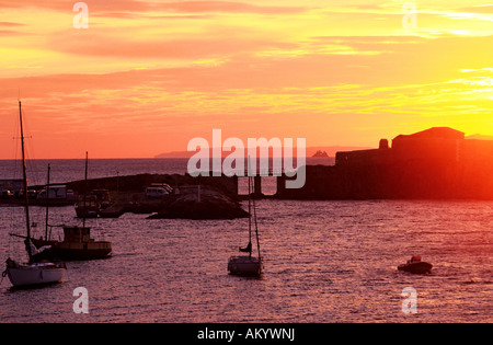 France, Var, Presqu' île de Giens, Tour Fondue Stock Photo