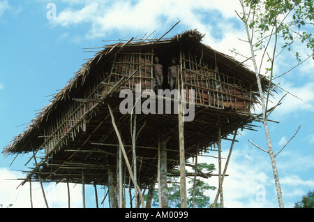 Two men standing in the doorway of their treehouse territory of the Korowai tribe Treehouse People Indonesian New Guinea Stock Photo