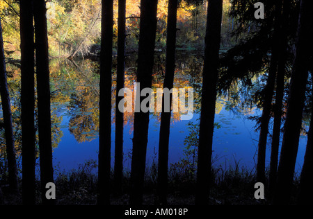 Autumn fall forest reflection in a lake with amazing beautiful colors ...
