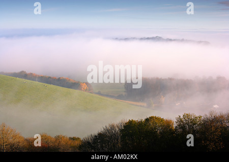 Hod Hill, near Shaftesbury, Dorset, UK Stock Photo
