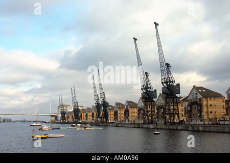 Cranes on the Royal Victoria Dock in London England UK Stock Photo