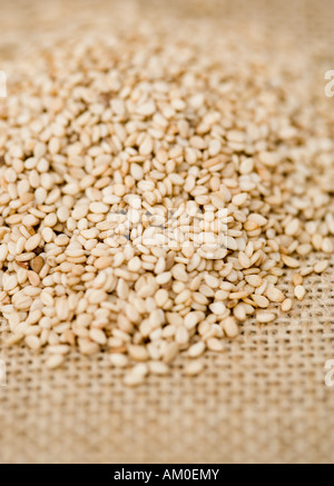 Sesame seeds on hessian Stock Photo