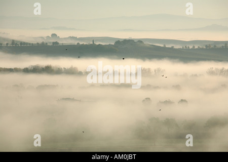 Birds fly over the early morning mist, Tuscany, Italy Stock Photo