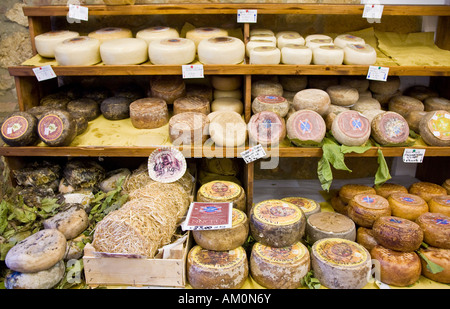 Pecorino loaves in a cheese shop in Pienza Tuscany Italy Stock Photo