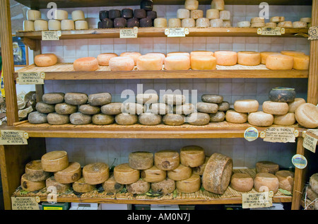 Pecorino loaves in a cheese shop in Pienza Tuscany Italy Stock Photo