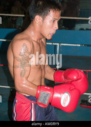 kickboxer training, Phnom Penh Stock Photo