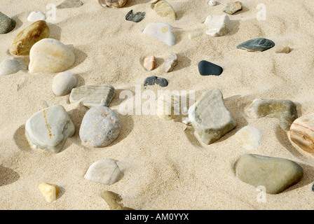 Polished pebbles grinded by sand and wind in sand dune Stock Photo