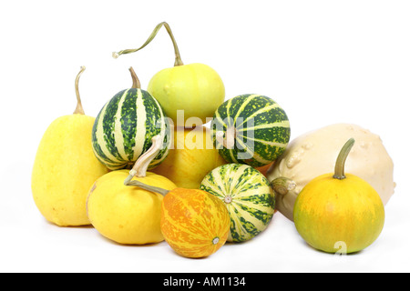 Decorative Pumpkins Stock Photo