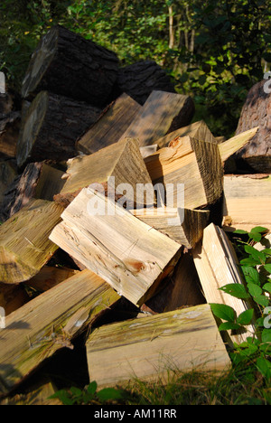 Cut firewood Stock Photo
