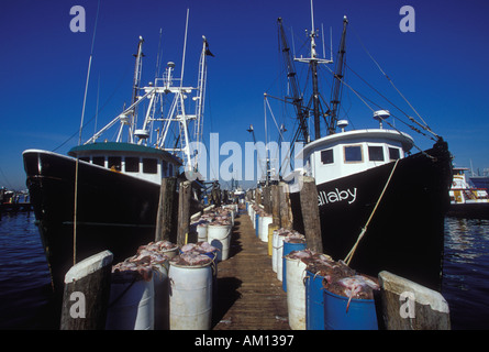 Point Judith fishing boats USA RI Stock Photo - Alamy