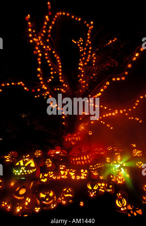 Jack O Lanterns Roger Williams Park Pumkin Spectacular Stock Photo