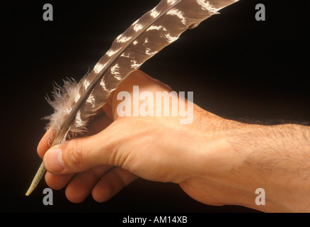 Hand holding quill pen such as the once used for signing Declaration of Independence Stock Photo