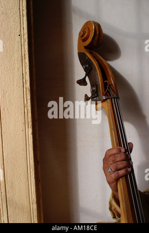 Cuban Musician Holding Stand Up Bass Havana Cuba Stock Photo