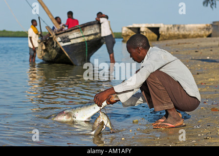 Fisherman at work at Ibo Island, Quirimbas islands, Mozambique, Africa Stock Photo