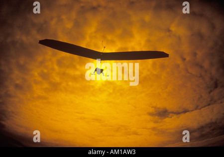 Solar Sailing Hang Gliding in sunset silhouette Morro Bay CA Stock Photo