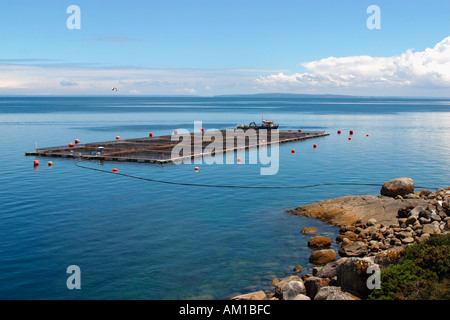 Salmon Fish Farm off coast near Puerto Montt Chile Stock Photo