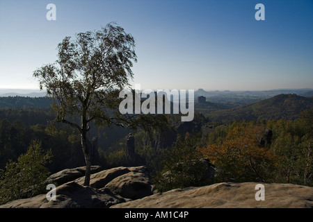 View of the Carolafelsen toward Schrammstein massif and Falkenstein, Elbe Sandstone Mountains, Saxony, Germany Stock Photo