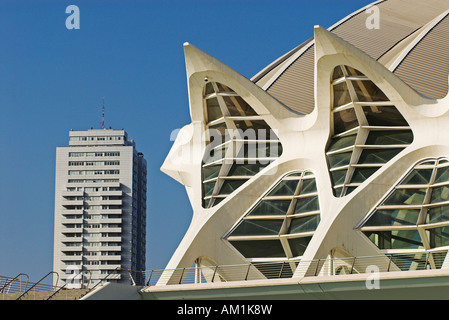Science Museum of Principe Felipe in the City of Arts and Sciences, City of Valencia, Spain, Europe Stock Photo