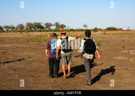 Ranger with tourists on a game walk in the African savannah, Botswana Stock Photo