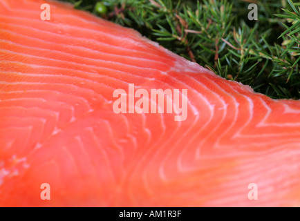 Smoked salmon Stock Photo