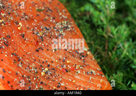 Smoked salmon Stock Photo