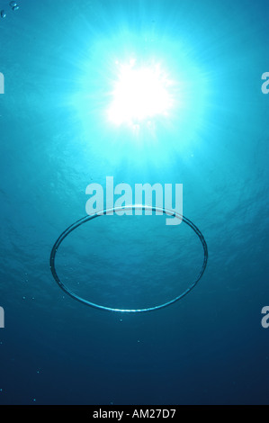 Underwater bubble ring ascending towards the sun Stock Photo