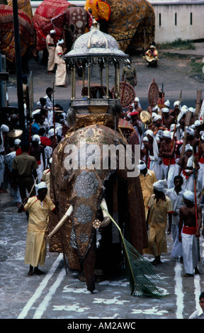 SRI LANKA South Asia Kandy Esala Perahera  Maligawa Tusker elephant carries a replica of the golden Buddha Tooth relic casket Stock Photo