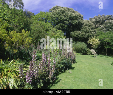 geography / travel, Great Britain, England, Worthing, garden / parks, Highdown Gardens, Additional-Rights-Clearance-Info-Not-Available Stock Photo