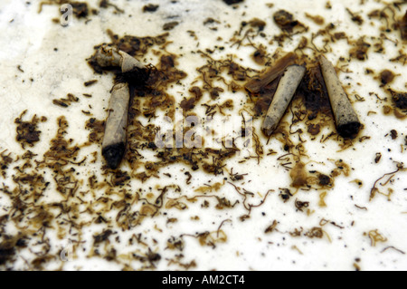 what happens if you smoke a wet cigarette When it shows wet cigarettes tobacco white background