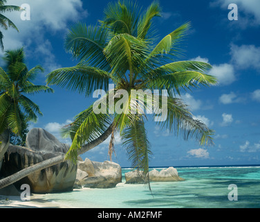 SEYCHELLES La Digue Reunion Beach Stock Photo