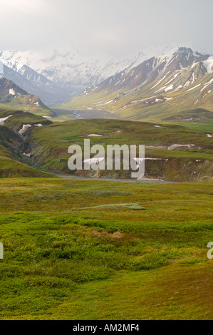 View from the road in Thorofare Pass looking accross Gorge Creek up the Thorofare River Denali National Park Alaska Stock Photo