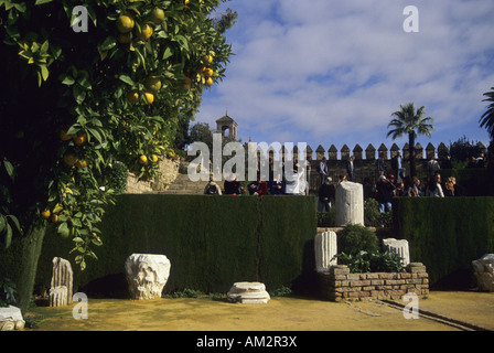 Alcazar de los Reyes Garden CORDOBA Andalusia region Spain Stock Photo