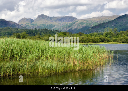 Elterwater with the Langdale Pikes in the distance. Great Langdale, Lake District National Park, UK Stock Photo