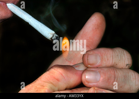 pianissimo cigarettes glowdown of the history of japanese cigarettes pianissimo cigarettes glowdown of the history of japanese cigarettes