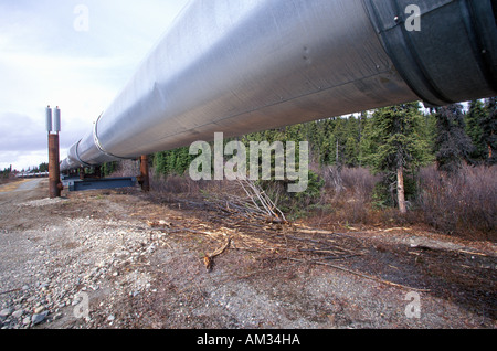 Trans Alaska Pipeline at Route 4 near Paxson AK Stock Photo
