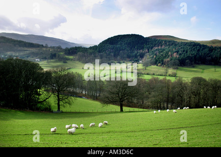 Scenic Welsh View Stock Photo