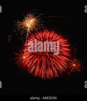 Red starburst fireworks against black sky Stock Photo