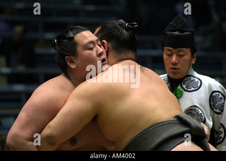 Traditional Japanese Sumo Wrestlers grappling fighting at the Spring Sumo tournament in Osaka Kansai Japan Asia Stock Photo