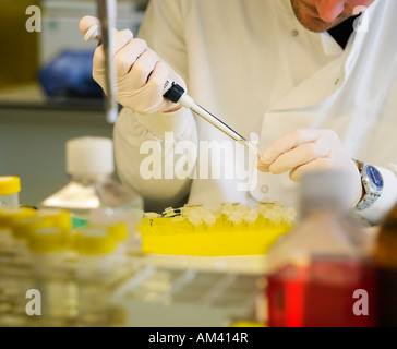 Laboratory work clinical trials research testing. No release required as face cropped so unrecognizable person in shot Stock Photo