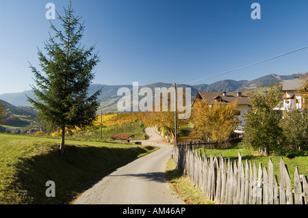 Italy, Trentino - Alto Adige, Bolzano province, Dolomites,  Val di Funes, Nafen. Stock Photo