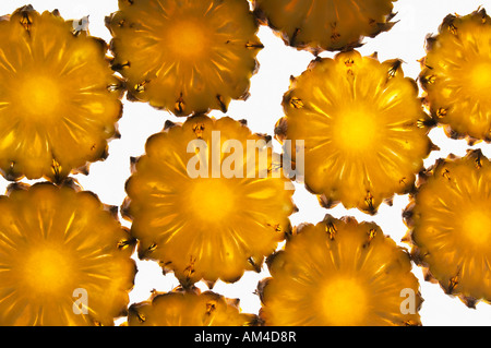 Close-up of pineapple slices Stock Photo