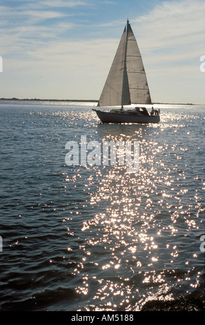 A 30 foot sloop sailboat underway Stock Photo - Alamy