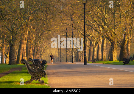 jogger in Hyde Park early morning London England UK NR Stock Photo