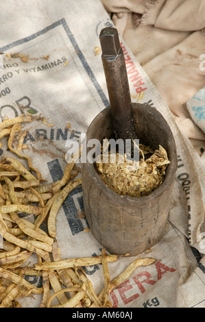 Mortar with smashed beans, Nivaclé native Americans, Jothoisha, Chaco, Paraguay, South America Stock Photo